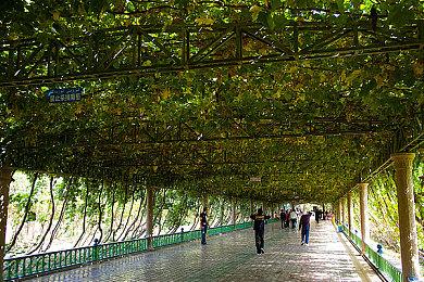 《ROOST》Steam页面上线 复古风恐怖探索